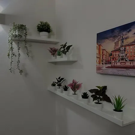 Apartment Casa Camilla *